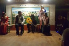 552 granada flamenco show